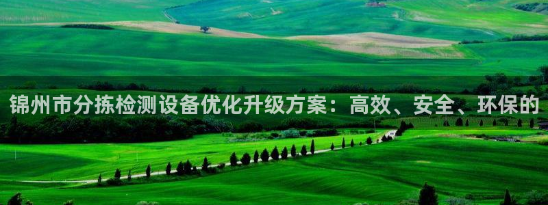 专业辉达娱乐官方网址：锦州市分拣检测设备优化升级方案：高效、