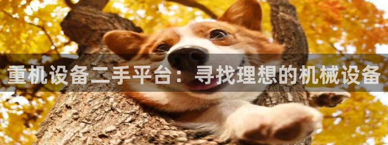 辉达娱乐排列三