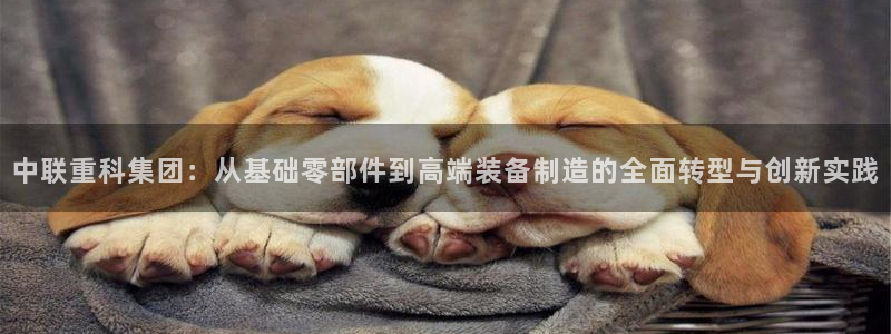 辉达娱乐体育竞猜：中联重科集团：从基础零部件到高端装备制造的