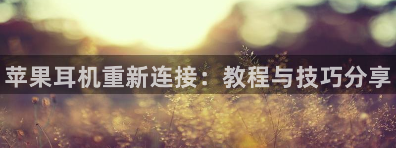 信誉辉达娱乐平台：苹果耳机重新连接：教程与技巧分享