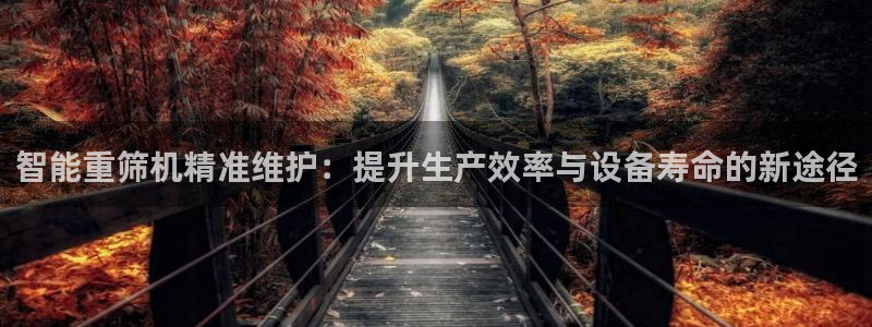 辉达娱乐排列三：智能重筛机精准维护：提升生产效率与设备寿命的