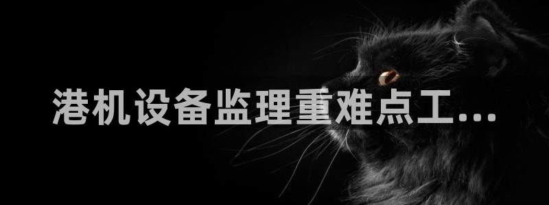 辉达平台注册入口：港机设备监理重难点工...