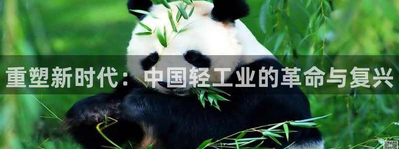 辉达娱乐游戏.直开.中国：重塑新时代：中国轻工业的革命与复兴