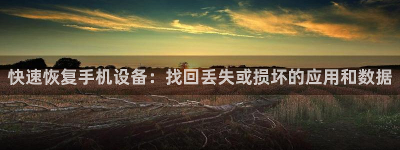 辉达娱乐加q75775稳定：快速恢复手机设备：找回丢失或损坏