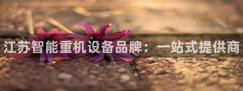 信誉辉达娱乐平台：江苏智能重机设备品牌：一站式提供商