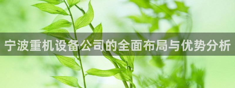 辉达娱乐电子