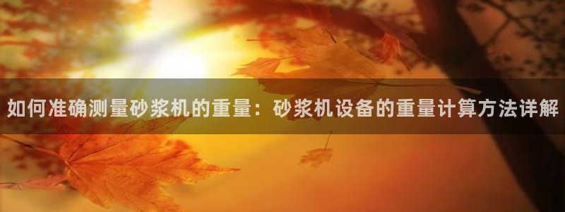 正规辉达娱乐在线游戏：如何准确测量砂浆机的重量：砂浆机设备的