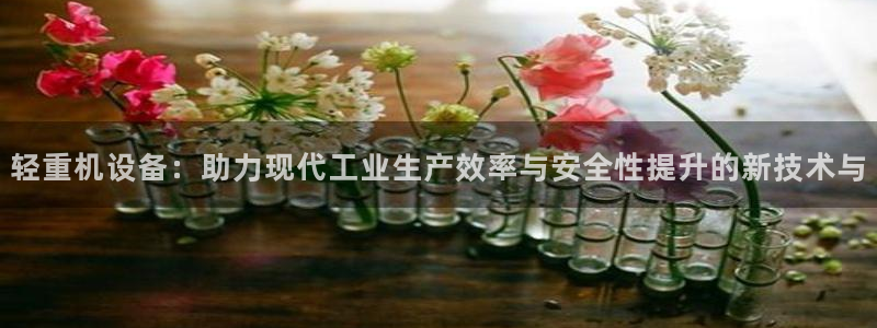 辉达娱乐线路检测：轻重机设备：助力现代工业生产效率与安全性提