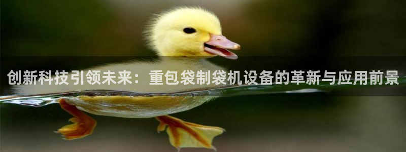 信誉辉达娱乐：创新科技引领未来：重包袋制袋机设备的革新与应用