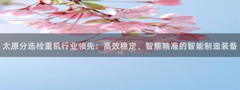 辉达娱乐下载：太原分选检重机行业领先：高效稳定、智能精准的智