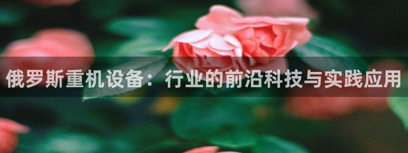 辉达平台注册：俄罗斯重机设备：行业的前沿科技与实践应用