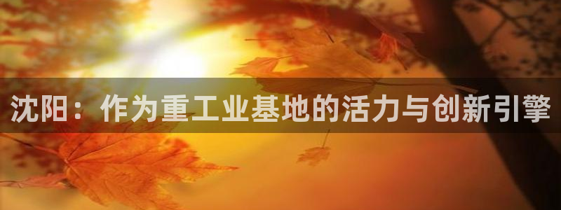 辉达娱乐体彩