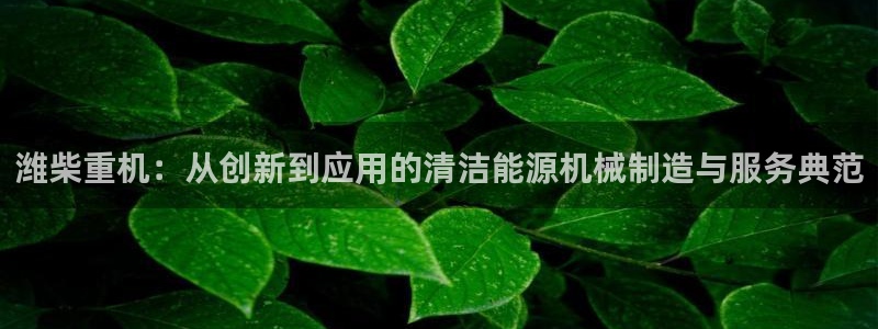 辉达娱乐招商