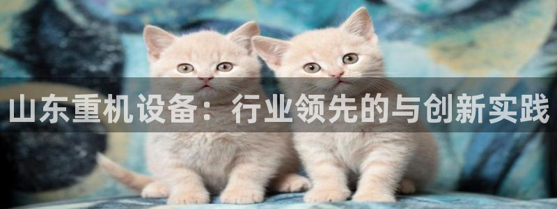 辉达娱乐最新消息新闻