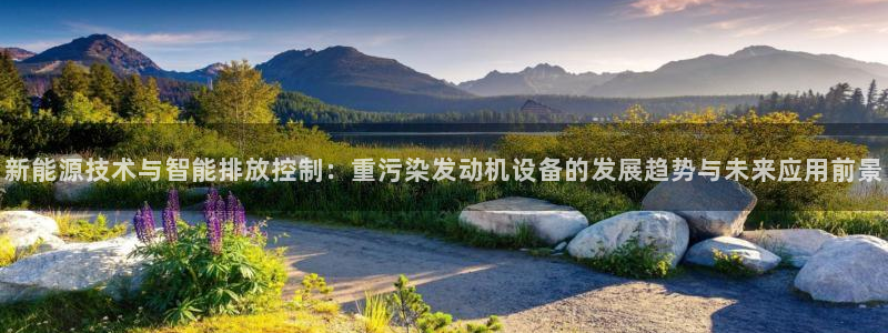 辉达娱乐广东11选5：新能源技术与智能排放控制：重污染发动机