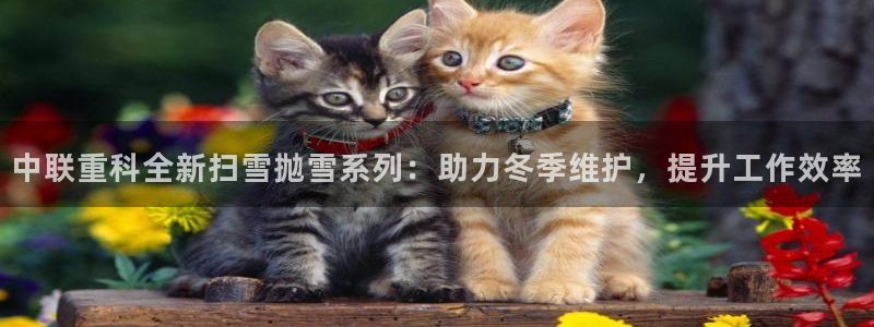 辉达娱乐属于什么档次