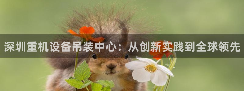 辉达娱乐属于什么档次