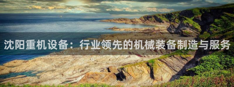 龙腾辉达电子娱乐