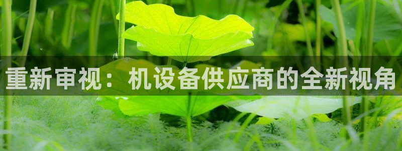 专业辉达娱乐在线游戏：重新审视：机设备供应商的全新视角