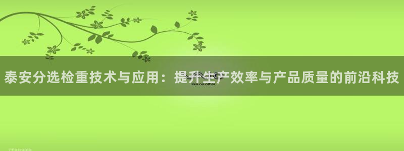 辉达平台官网首页：泰安分选检重技术与应用：提升生产效率与产品