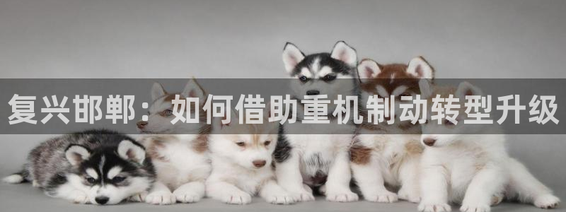 辉达娱乐时时彩：复兴邯郸：如何借助重机制动转型升级