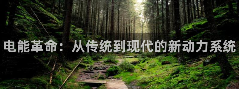 辉达娱乐招商：电能革命：从传统到现代的新动力系统