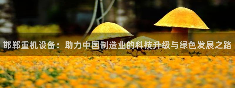 专业辉达娱乐官方网址：邯郸重机设备：助力中国制造业的科技升级