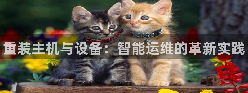 辉达娱乐己75505