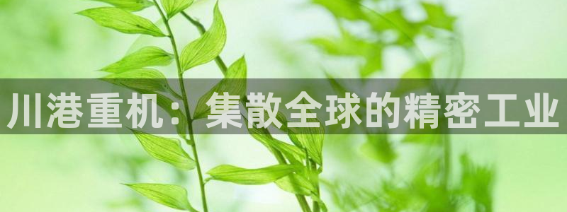 辉达娱乐：川港重机：集散全球的精密工业