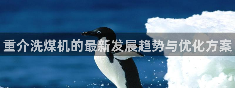 辉达娱乐加q75775