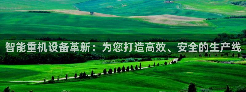 辉达娱乐招商：智能重机设备革新：为您打造高效、安全的生产线
