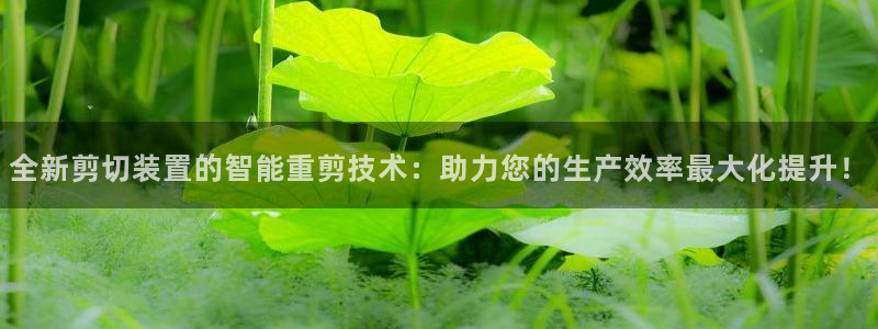 辉达娱乐电子游艺：全新剪切装置的智能重剪技术：助力您的生产效