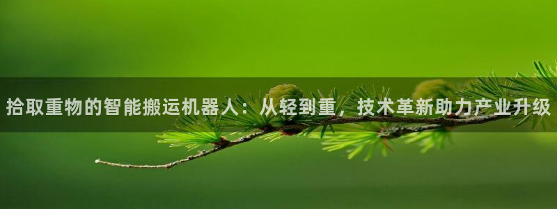 辉达娱乐公司：拾取重物的智能搬运机器人：从轻到重，技术革新助