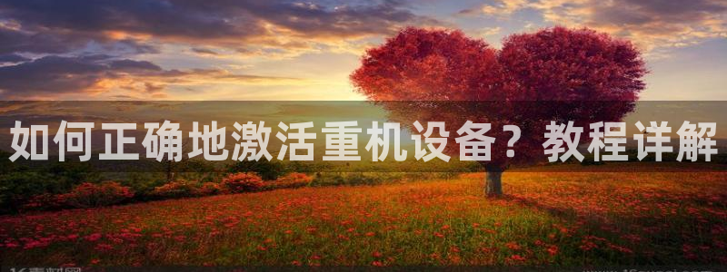 信誉辉达娱乐官方网址：如何正确地激活重机设备？教程详解