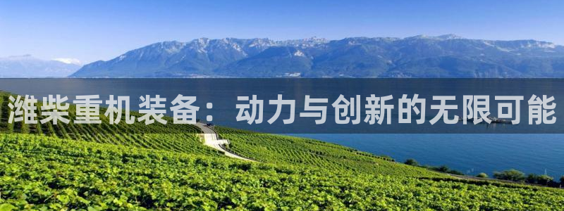 辉达娱乐检测：潍柴重机装备：动力与创新的无限可能