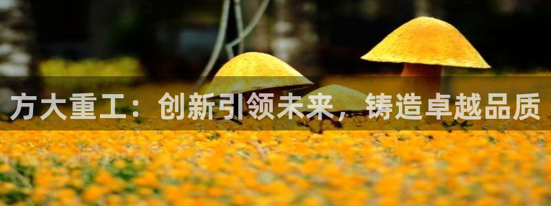 代理辉达娱乐官方网址：方大重工：创新引领未来，铸造卓越品质