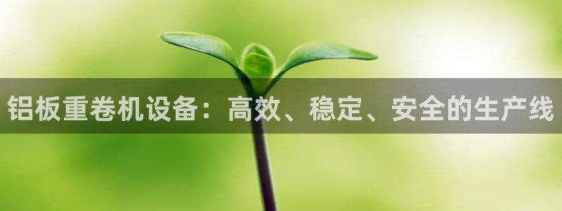 辉达娱乐多少年