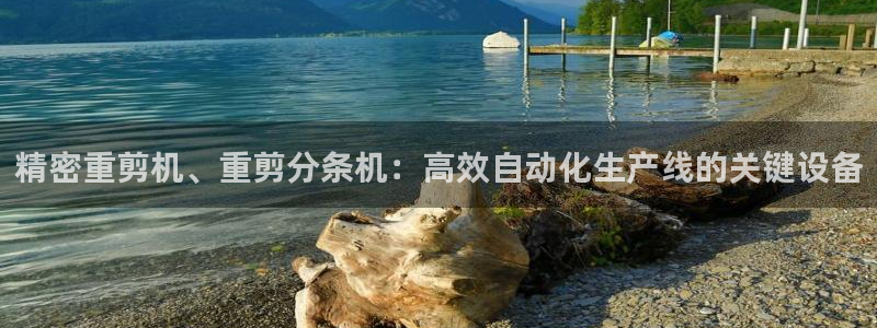 辉达平台注册官方网站入口