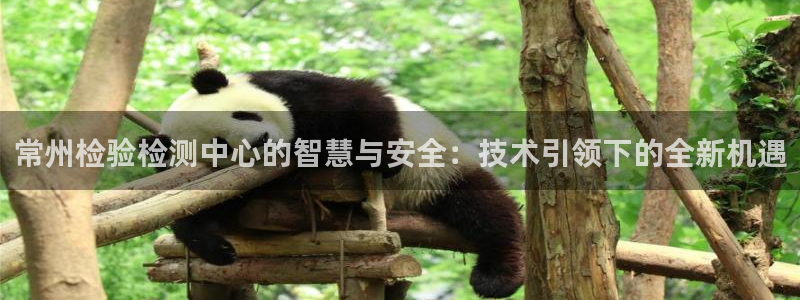 辉达娱乐正规吗