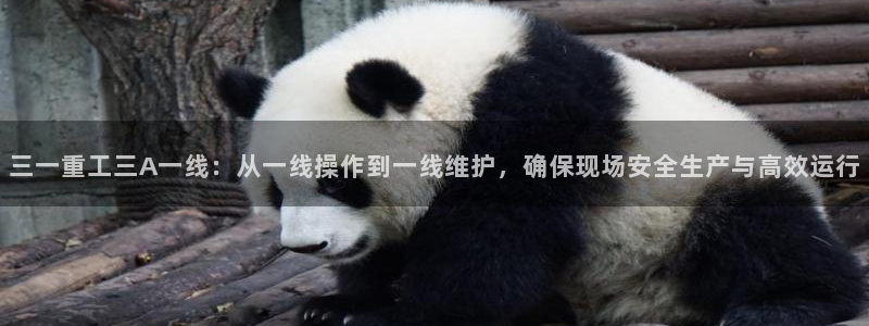 辉达娱乐官网：三一重工三A一线：从一线操作到一线维护，确保现