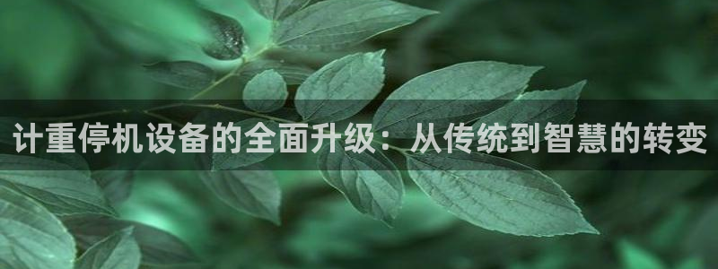 菲律宾辉达娱乐