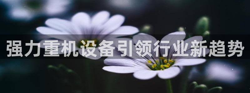 辉达娱乐体育竞猜