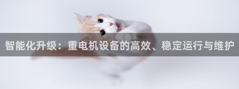 辉达娱乐珈75775：智能化升级：重电机设备的高效、稳定运行