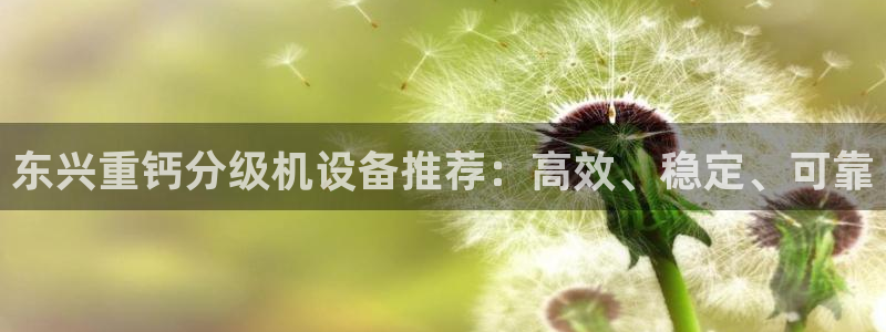 辉达平台注册入口：东兴重钙分级机设备推荐：高效、稳定、可靠