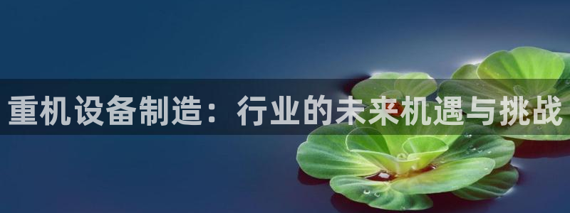 辉达娱乐待遇：重机设备制造：行业的未来机遇与挑战