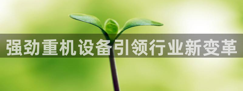 正规辉达娱乐：强劲重机设备引领行业新变革