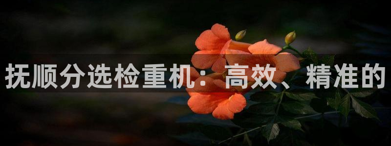 辉达娱乐官网：抚顺分选检重机：高效、精准的