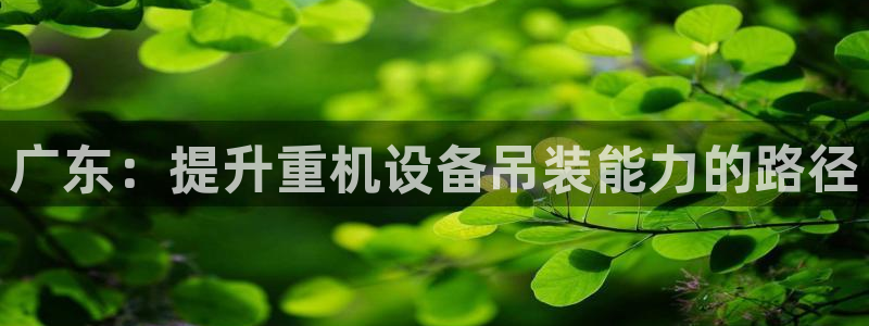 辉达集团官方网站：广东：提升重机设备吊装能力的路径