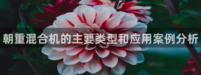 辉达娱乐属于什么档次