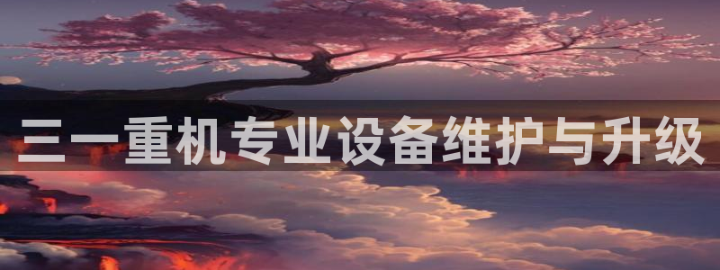 辉达娱乐兼职：三一重机专业设备维护与升级